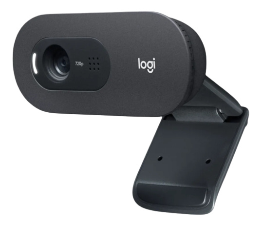 Logitech - C505e HD Webcam, brownbox i gruppen Datautstyr / Datamaskin Tilbehør / Webkamera hos TP E-commerce Nordic AB (C09101)