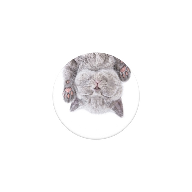PopSockets Cat Nap Avtagbart Grip med stativfunksjon