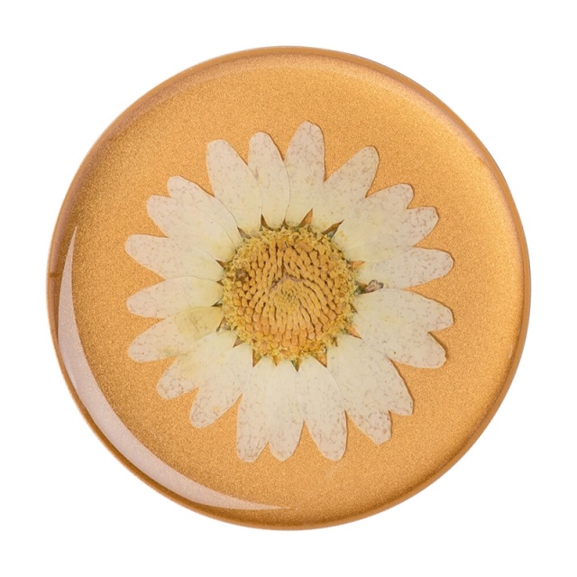 PopSockets Pressed Flower White Daisy Avtagbart Grip med Stativfunksjon Premium