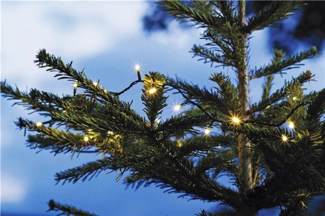 Batteridrevet LED-sløyfe med timerfunksjon, 6,45 m