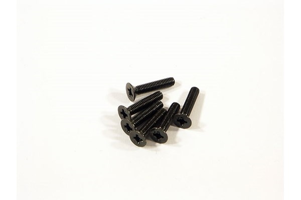 Flat hodeskrue M3X15Mm (6 stk.)