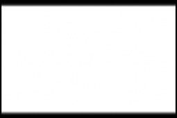 Akrylbasert maling Matt White (Flat) 22 ml