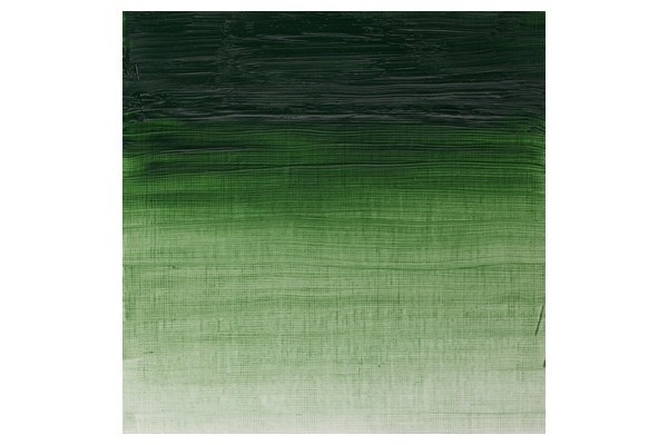 Artists Oil Col 200ML TERRE VERTE 637