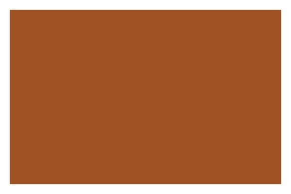 Liquitex Spraymaling 400ml Raw Sienna 0330