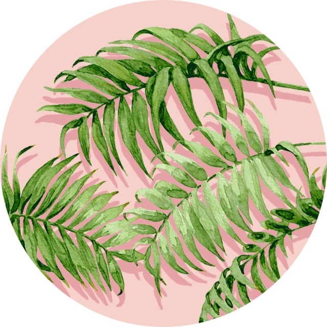 PopSockets Palm Shadows  Holder og stativ