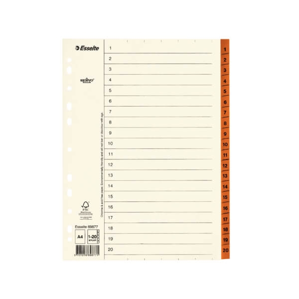 ESSELTE Register Servo A4/1-20 Brun