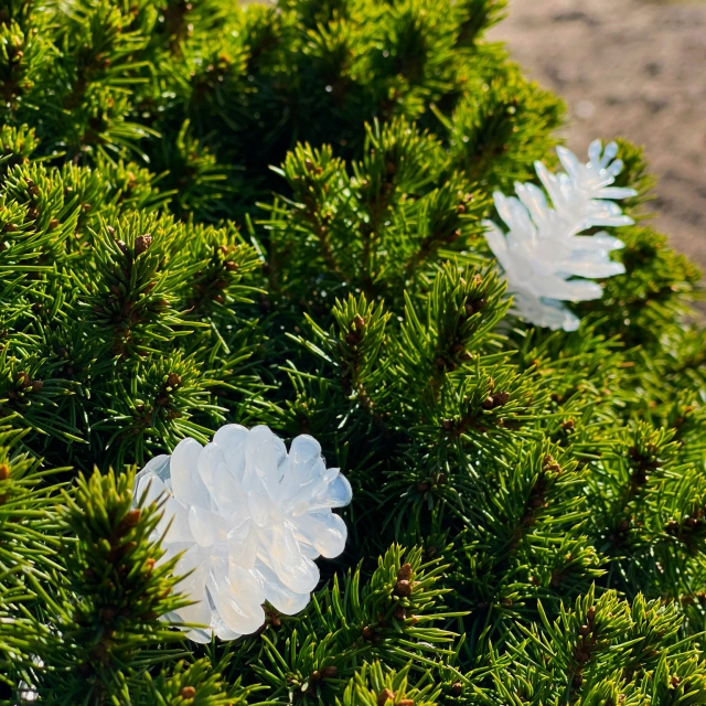 LightsOn Pine 10m lyskrans hvit glitrende kjegler