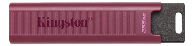 Kingston 256 GB DataTraveler Max Type-A