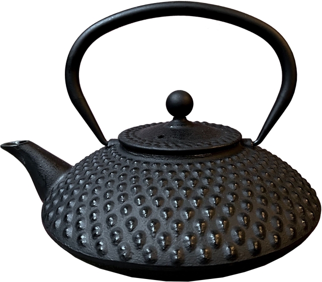 SATAKE tekanne, oval, 1,2 L