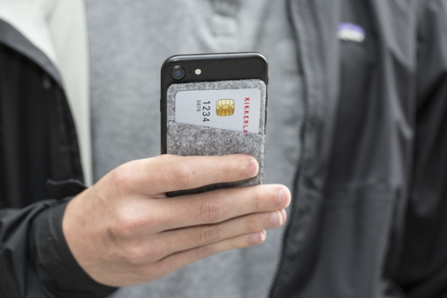 Kikkerland Felt Safe Slot (US170-A)