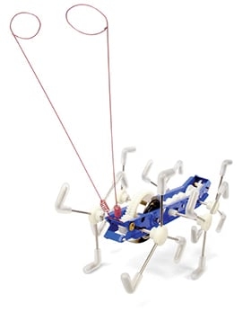 Kikkerland Mxykikker Wind Up (1504)