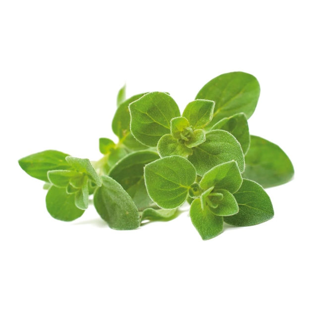 Click & Grow  - Smart Garden Refill 3-pakning Oregano