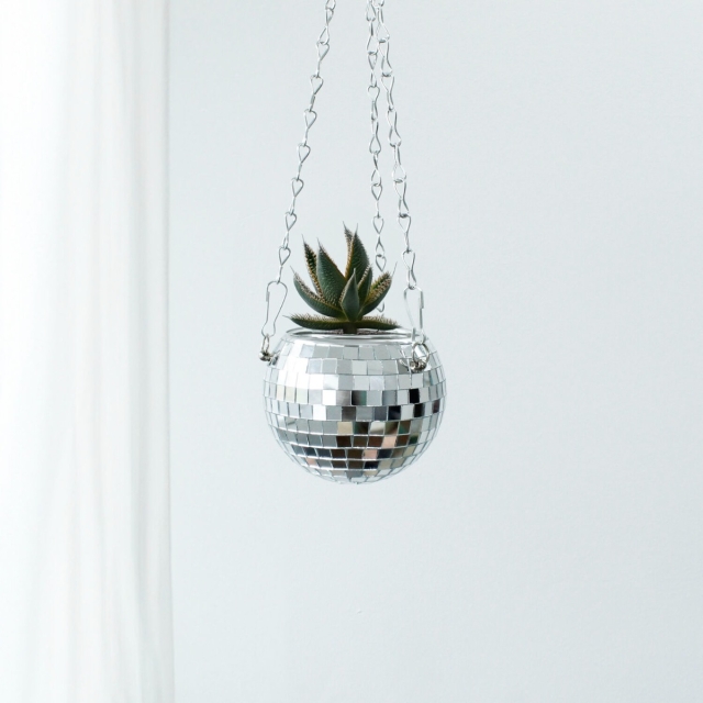 Winkee Potteplante - Disco hengende potteplante - 10 cm