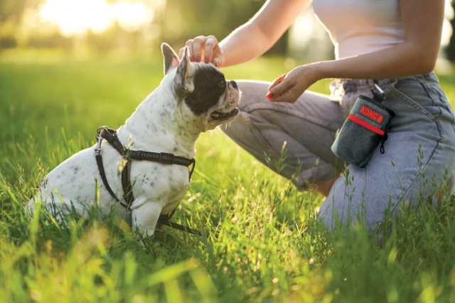 Kong Godbitpose 13,5 x12,5 cm - (Kong9842)