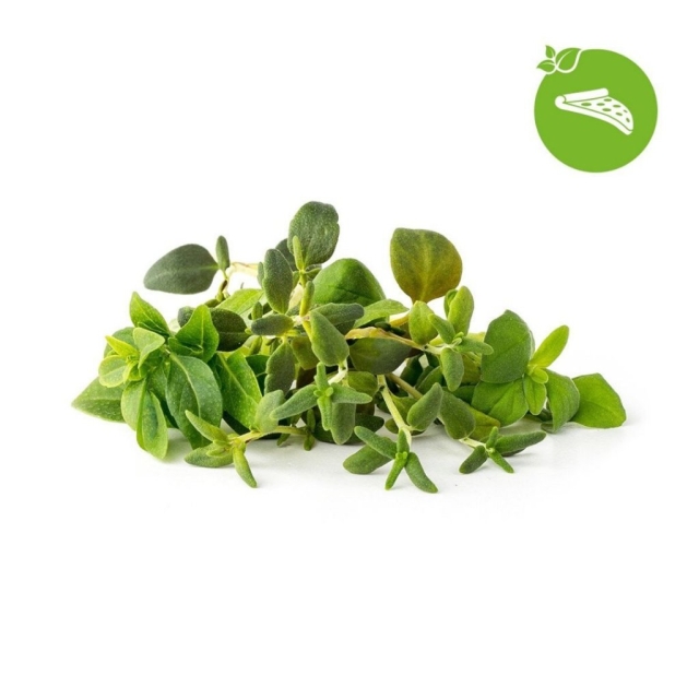 Click & Grow Smart Garden Refill 9-pakning italiensk urtemiks