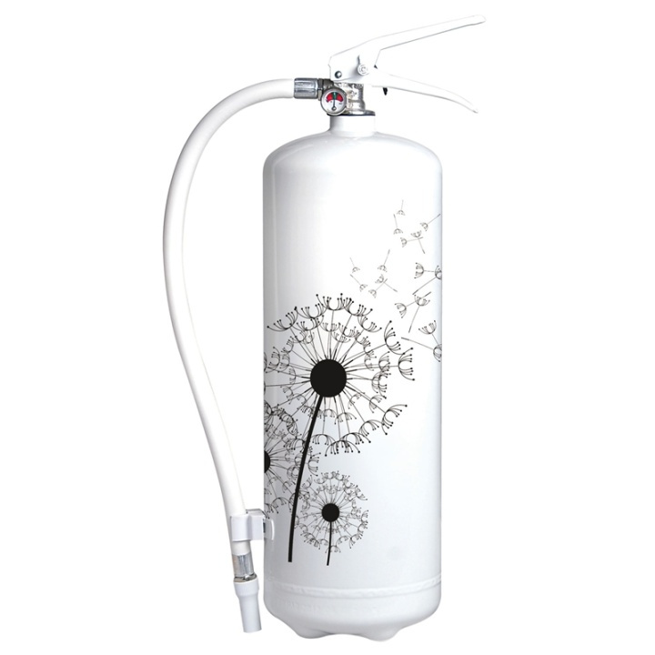 Nexa Fire & Safety Brannslukningsapparat Løvetann 6kg 43A i gruppen HJEM, HUS OG HAGE / Alarm, Sikkerhet og overvåking / Brann, røyk, gass / Brannslukkningsapparat hos TP E-commerce Nordic AB (38-44466)