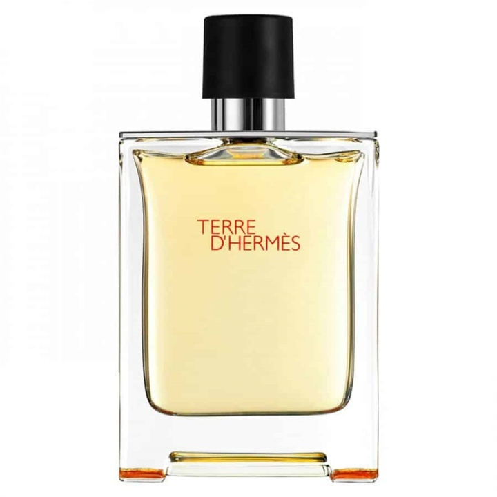 Hermes Terre d\'Hermes Edt 50ml i gruppen HELSE OG SKJØNNHET / Duft og parfyme / Parfyme / Parfyme for han hos TP E-commerce Nordic AB (38-58448)