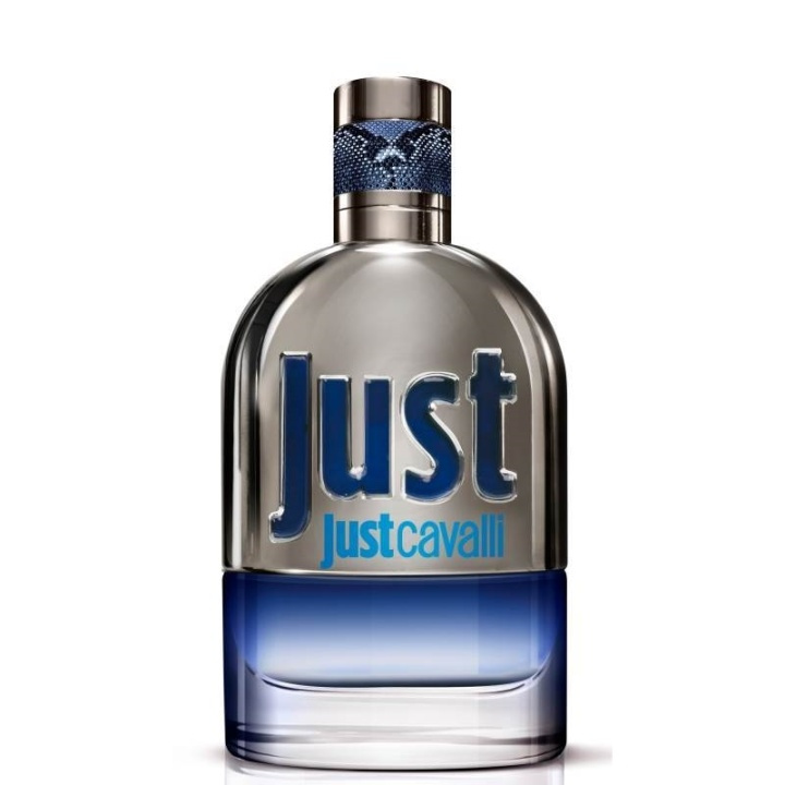 Roberto Cavalli Just Man Edt 90 ml i gruppen HELSE OG SKJØNNHET / Duft og parfyme / Parfyme / Parfyme for han hos TP E-commerce Nordic AB (38-67530)