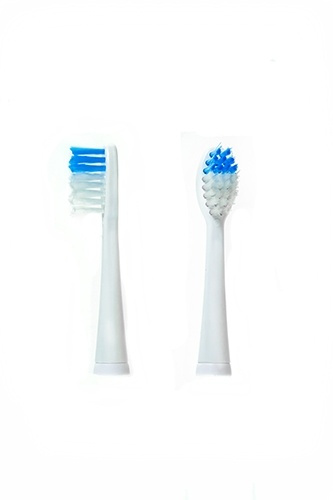 Camry toothbrush head til CR 2158 i gruppen HELSE OG SKJØNNHET / Munnpleie / Elektriske tannbørster tilbehør hos TP E-commerce Nordic AB (38-75083)