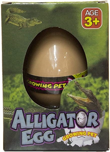 Magiskt ägg, Alligator i gruppen LEKER, BARN OG BABY / Leker / Leksaker hos TP E-commerce Nordic AB (38-81781)