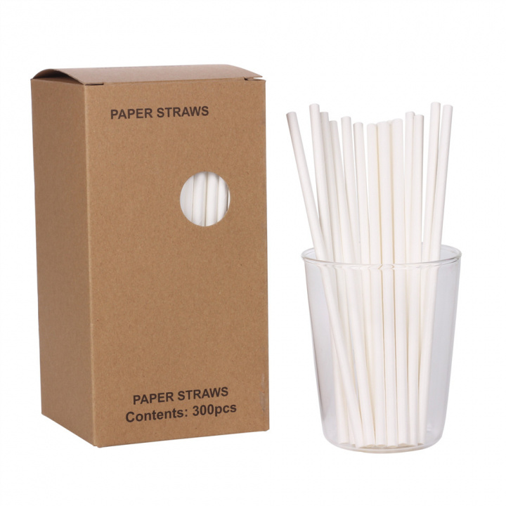 Disposable paper drinking straws, 300pcs i gruppen LEKER, BARN OG BABY / Spise & drikke / Barneselskap & party hos TP E-commerce Nordic AB (38-83192)