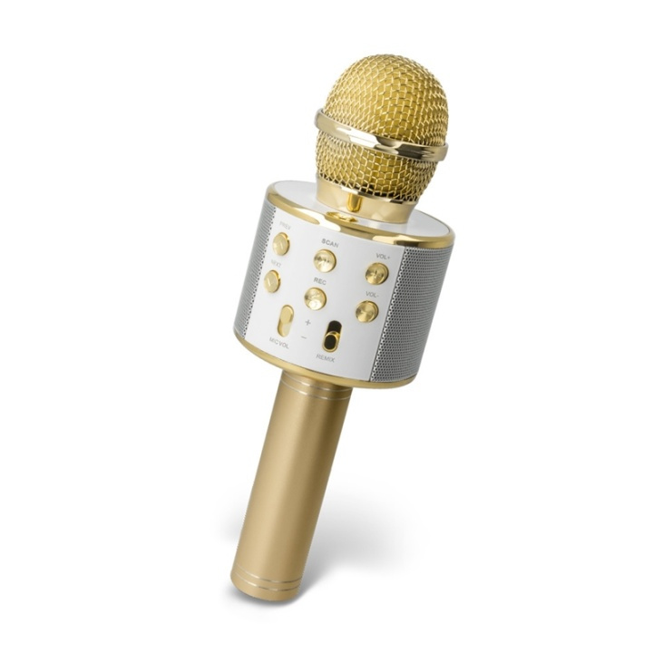 Forever BMS-300 Mikrofon med Bluetooth-høyttaler, Gull i gruppen Elektronikk / Lyd & Bilde / Håndholdte mikrofoner hos TP E-commerce Nordic AB (38-92731)