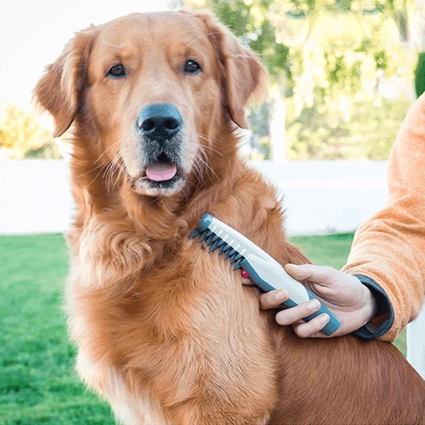 Tovemaskin for kjæledyr i gruppen HJEM, HUS OG HAGE / Dyretilbehør / Hund hos TP E-commerce Nordic AB (38-94187)