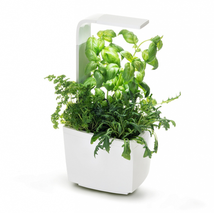 TREGREN Kitchen Garden T3 Hvit i gruppen SPORT, FRITID & HOBBY / Morsomme produkter / Smarte produkter hos TP E-commerce Nordic AB (A04809)