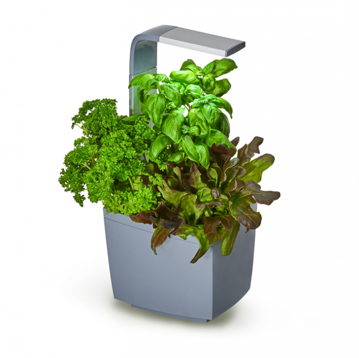 Tregren Kitchen Garden T3 Grå i gruppen SPORT, FRITID & HOBBY / Morsomme produkter / Smarte produkter hos TP E-commerce Nordic AB (A04810)