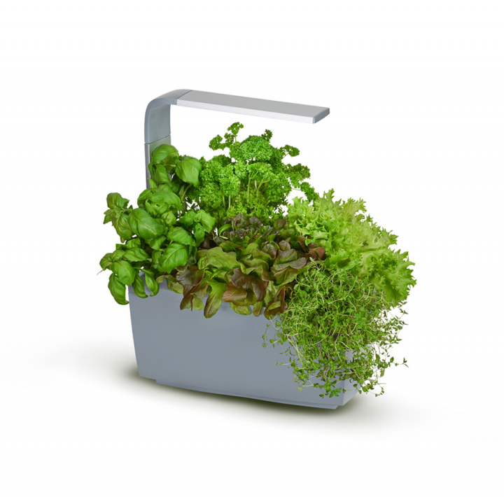 Tregren Kitchen Garden T6 Grå i gruppen SPORT, FRITID & HOBBY / Morsomme produkter / Smarte produkter hos TP E-commerce Nordic AB (A04813)