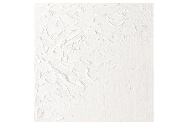 Artists Oil Col 200ML TITANIUM WHITE 644 i gruppen SPORT, FRITID & HOBBY / Hobby / Male & Tegne / Kunstnerfarger / Oljefarger hos TP E-commerce Nordic AB (A08995)