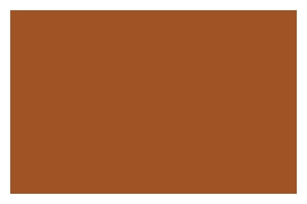 Liquitex Spraymaling 400ml Raw Sienna 0330 i gruppen SPORT, FRITID & HOBBY / Hobby / Male & Tegne / Kunstnerfarger / Sprayfarger hos TP E-commerce Nordic AB (A09430)