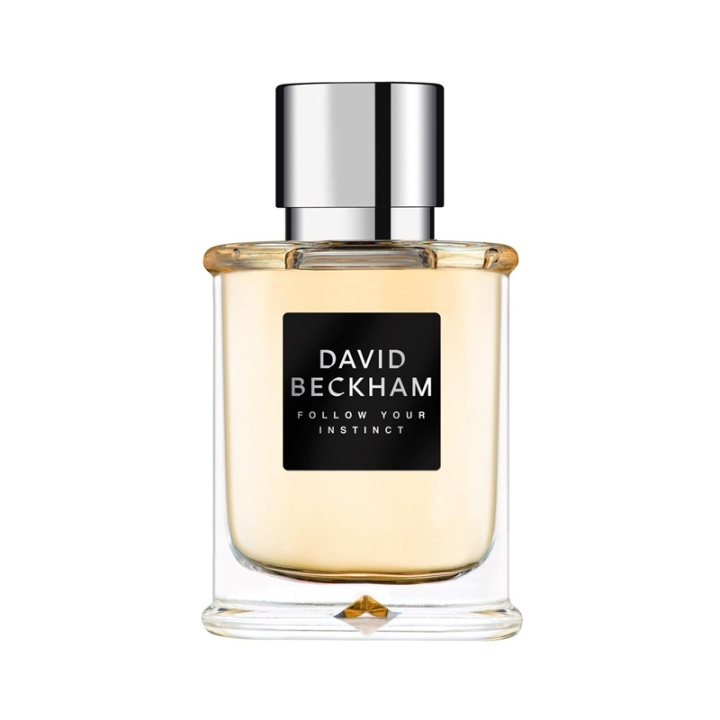David Beckham Follow Your Instinct Edt 50ml i gruppen HELSE OG SKJØNNHET / Duft og parfyme / Parfyme / Parfyme for han hos TP E-commerce Nordic AB (A10711)