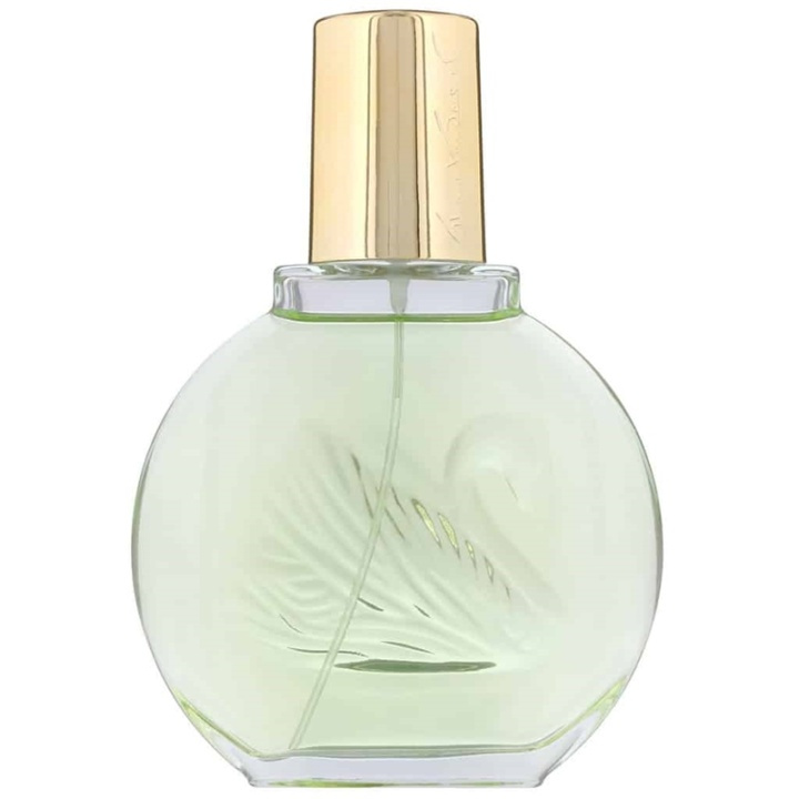 Gloria Vanderbilt Jardin a New York Edp 100ml i gruppen HELSE OG SKJØNNHET / Duft og parfyme / Parfyme / Parfyme for henne hos TP E-commerce Nordic AB (A10932)