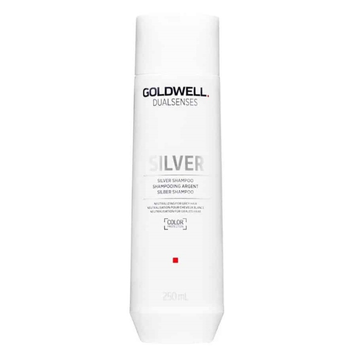 Goldwell Dualsenses Silver Shampoo 250 ml i gruppen HELSE OG SKJØNNHET / Hår & styling / Hårpleie / Hårfarge / Sølv sjampo hos TP E-commerce Nordic AB (A10950)