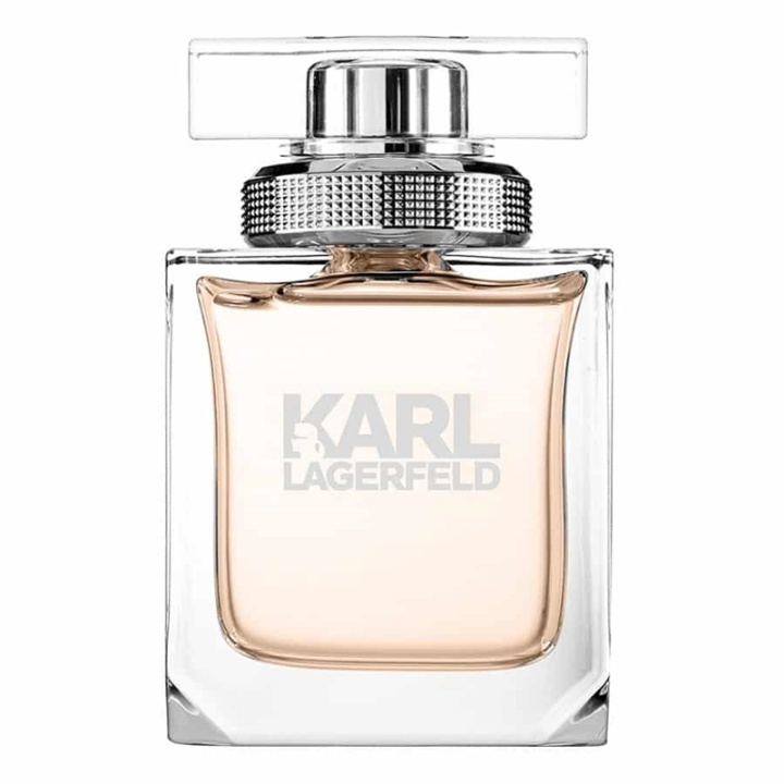 Karl Lagerfeld Pour Femme Edp 45ml i gruppen HELSE OG SKJØNNHET / Duft og parfyme / Parfyme / Parfyme for henne hos TP E-commerce Nordic AB (A11134)
