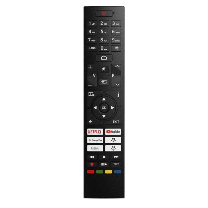 Champion Fjernkontroll CH TV 43+55 i gruppen Elektronikk / Lyd & Bilde / TV og tilbehør / Fjernkontroller hos TP E-commerce Nordic AB (A16150)