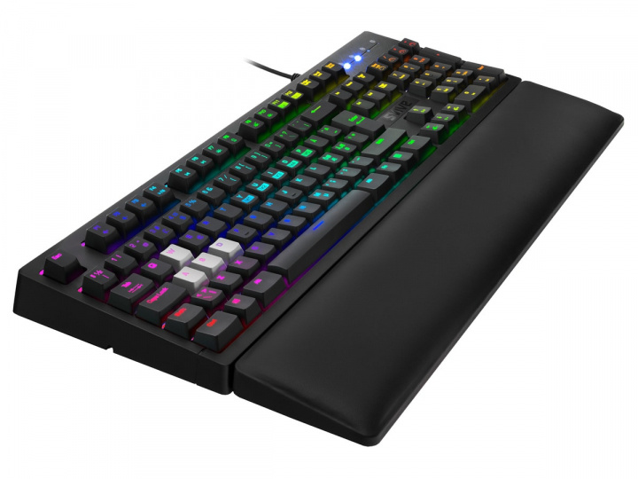 Svive Orcus Optisk RGB Gaming Tangentbord i gruppen Datautstyr / GAMING / Tastatur hos TP E-commerce Nordic AB (A23085)