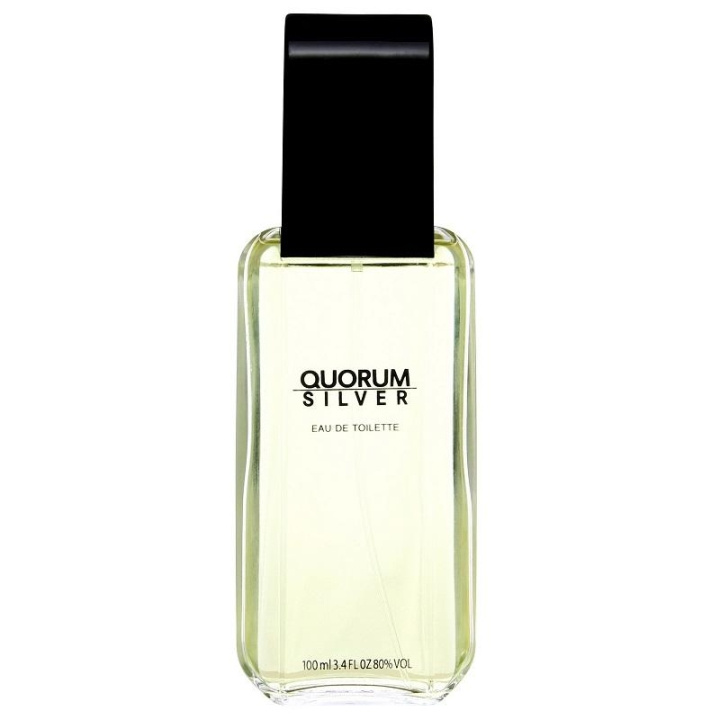 Antonio Puig Quorum Silver Edt 100ml i gruppen HELSE OG SKJØNNHET / Duft og parfyme / Parfyme / Parfyme for han hos TP E-commerce Nordic AB (C03835)