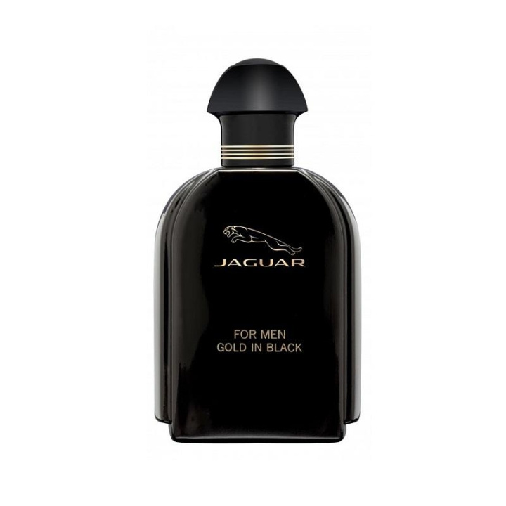 Jaguar for Men Gold In Black Edt 100ml i gruppen HELSE OG SKJØNNHET / Duft og parfyme / Parfyme / Parfyme for han hos TP E-commerce Nordic AB (C05066)