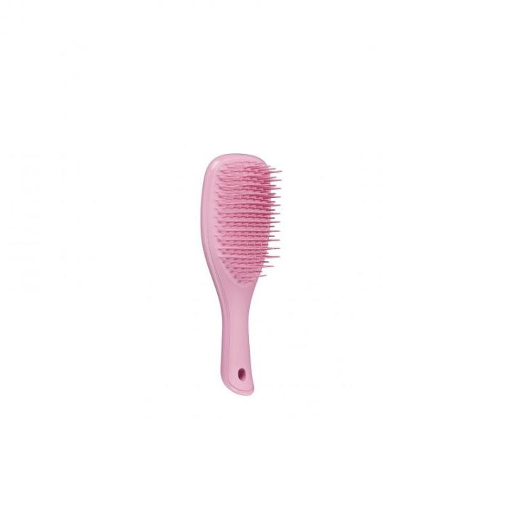 Tangle Teezer Wet Detangle Mini Glitter Pink i gruppen HELSE OG SKJØNNHET / Hår & styling / Hårbørster hos TP E-commerce Nordic AB (C05539)