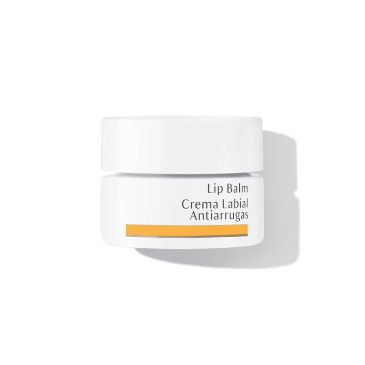 Dr. Hauschka Leppepomade 4,5 ml i gruppen HELSE OG SKJØNNHET / Makeup / Lepper / Leppepomade hos TP E-commerce Nordic AB (C05981)