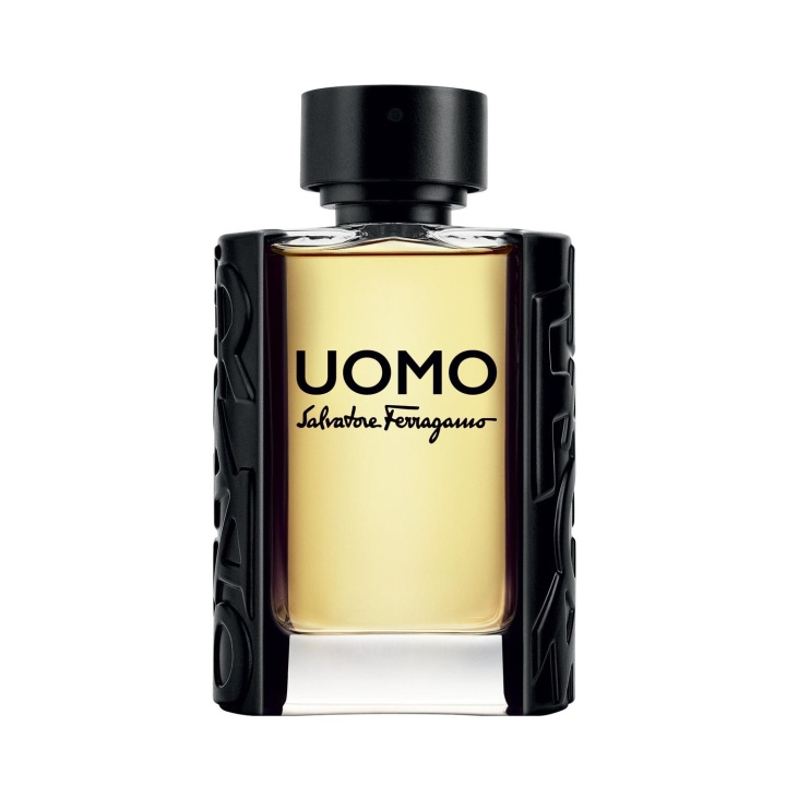 Salvatore Ferragamo Uomo Edt 100ml i gruppen HELSE OG SKJØNNHET / Duft og parfyme / Parfyme / Parfyme for henne hos TP E-commerce Nordic AB (C10837)