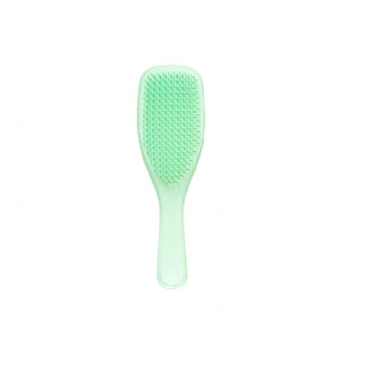 Tangle Teezer Wet Detangle Fine & Fragile Mint i gruppen HELSE OG SKJØNNHET / Hår & styling / Hårbørster hos TP E-commerce Nordic AB (C11348)