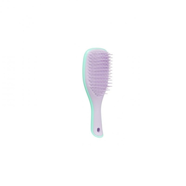 Tangle Teezer Wet Detangle Mini Mint/Purple i gruppen HELSE OG SKJØNNHET / Hår & styling / Hårbørster hos TP E-commerce Nordic AB (C11352)