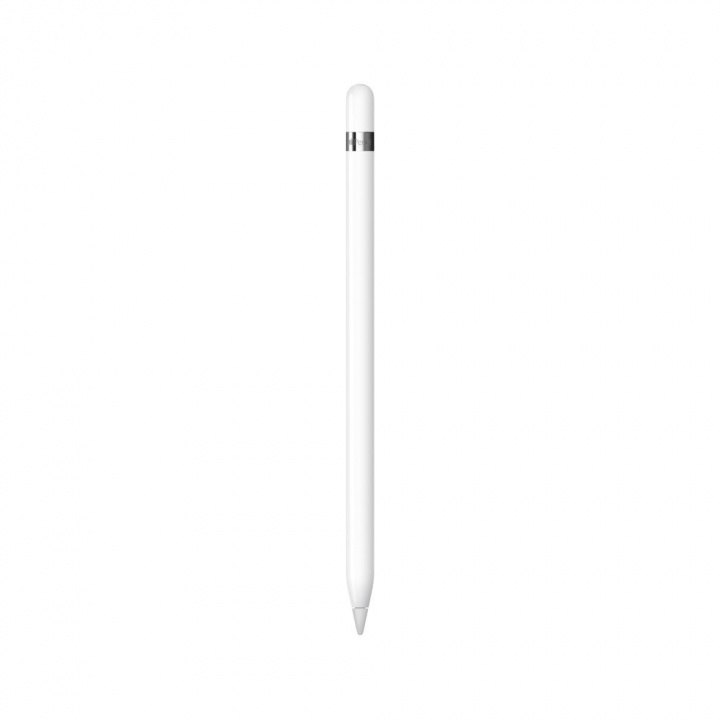 Apple Pencil (1. generasjon) i gruppen SMARTTELEFON & NETTBRETT / Annet tilbehør / Annet hos TP E-commerce Nordic AB (C21294)