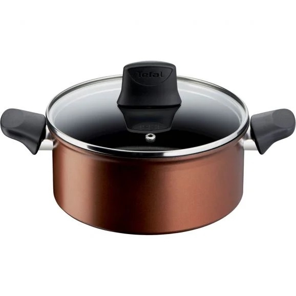 Tefal Resource Stewpot G2534453 - Kokekar 20 cm inkl. glasslokk i gruppen HJEM, HUS OG HAGE / Kjøkkenutstyr / Gryter og kjeler hos TP E-commerce Nordic AB (C21976)