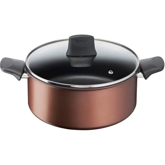 Tefal Resource Stewpot G2534632 - Kokekar 24 cm inkl. glasslokk i gruppen HJEM, HUS OG HAGE / Kjøkkenutstyr / Gryter og kjeler hos TP E-commerce Nordic AB (C21977)