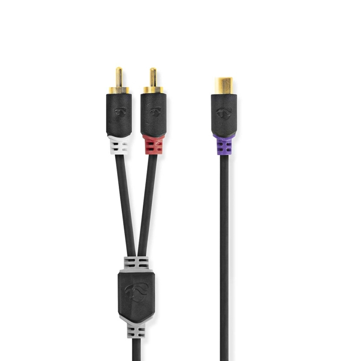 Nedis Stereo lydkabel | 2x RCA Han | RCA Hunn | Gull belagt | 0.20 m | Rund | Antrasitt | Boks i gruppen Elektronikk / Lyd & Bilde / Høyttalere & tilbehør / Tilbehør hos TP E-commerce Nordic AB (C23680)