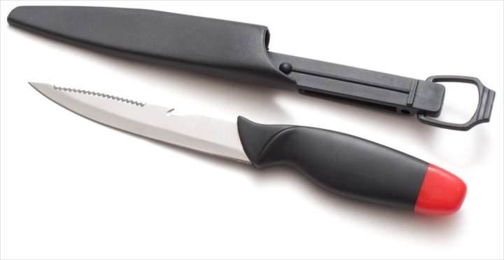 Jakt- og fiskekniv 14,5 cm blad i rustfritt stål 1/10 i gruppen SPORT, FRITID & HOBBY / Friluftsliv / Fiskeutstyr og tilbehør hos TP E-commerce Nordic AB (C24154)